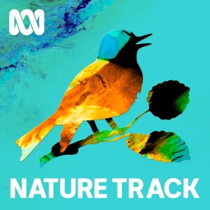 Podcast logo
